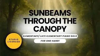 Beautiful Peaceful Piano - &ldquo;Sunbeams Through the Canopy