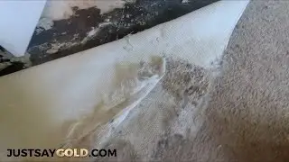 Dog Ripped Carpet Fixed Before & After