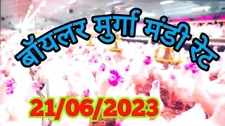 #boilar rate today #Chicken lifting rate today, Poultry pandit, Poultry pandit today, Poultry rate