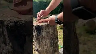 Sanding and Hook Knife Work on a cedar wood spoon #carvings #wood #carving
