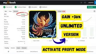 Phoenix Blizzard GOLD EA MT4 | Precision Gold Trading Robot | MT4 XAUUSD Expert Advisor 2025