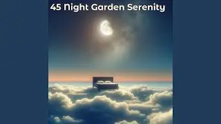 Sleep Freedom