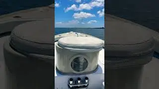 Tampa Bay Action Boating & Fishing