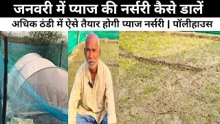 प्याज की पछेती नर्सरी कैसे तैयार करें जनवरी | How to prepare late onion nursery in January 2026 