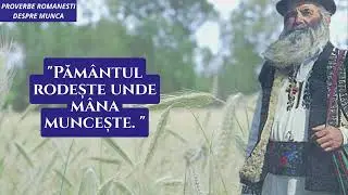 Proverbe ROM&Acirc;NEȘTI despre munca. Zicale populare scurte dar intelepte
