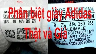 Ph&acirc;n biệt gi&agrave;y Adidas thật v&agrave; giả như thế n&agrave;o? C&aacute;ch check code Gi&agrave;y,T&uacute;i Adidas