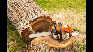 ASMR Chainsaw Sounds | White noise🎧 Relax / Focus / Enjoy 😎