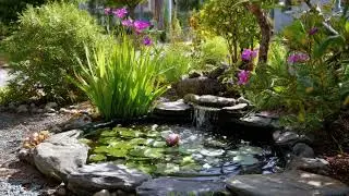 🌿 Budget-Friendly Landscaping Ideas for a Dirt Backyard Your Family Will Love