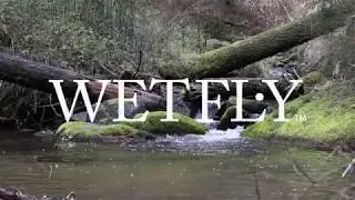 WETFLY- Spring into Tenkara fishing
