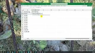 Excel Text in Zahl umwandeln mit Dezimalzeichen mit Zahlenwert(..)