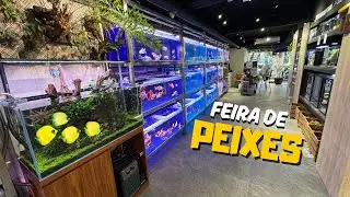 Fui na Feira dos PEIXES Mais RAROS do Mundo!