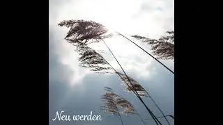 #146 19.05.2024 Neu werden