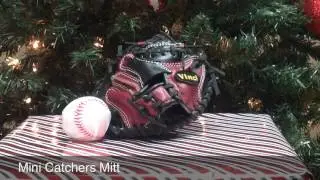 Holiday Gift Ideas Any Baseball Or Softball Fan Would Love