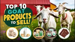 Top 10 Goat Products to Sell, Ideas for value-added products, from milk to cheese to woo!