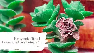 Proyecto de Segundo Ciclo - Tem&aacute;tica Libre