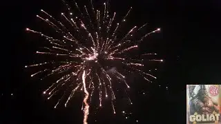 Zeszłoroczny hit!!! JW833 Goliat od Jorge. Partia 2024