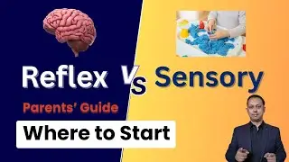 Reflex Development vs Sensory Processing &ndash; How It Works & When to Start