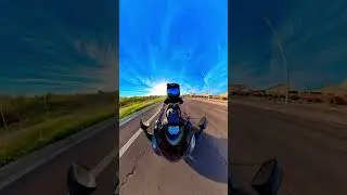 Черепахи 🐢 😤