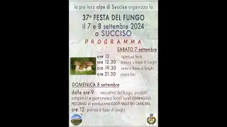 Succiso Festa del Fungo 2024