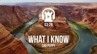 [No Copyright Music] What I Know - Sad Puppy