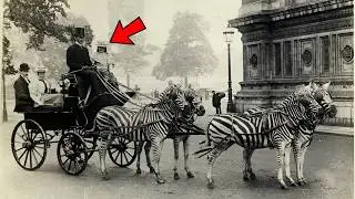 40+ Rare Photos That Make Reality Look Unreal