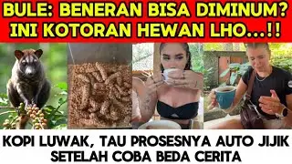 AWALNYA JIJIK‼️REAKSI BULE PERTAMA KALI MINUM KOPI LUWAK, SEMUA KAGET RASANYA