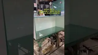 Setup Mr. D di Pluit/Jakarta Utara Aquarium 3 susun untuk pembesaran discus👌🏻 #discusfishtank