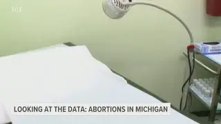 Abortions in Michigan: Looking at the data