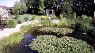 Koim&aacute;nia