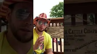 Sour Series Blueberry Cobbler by North Country Brewing Company beer review
