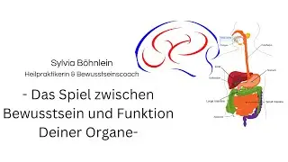 Das Spiel des Lebens und wer oder was steuert Deine Zellen?