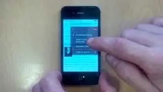 wifly.Resto демонстрация сервиса