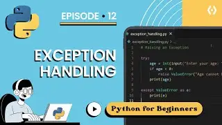 Python Try Except for Beginners 2025 | Step by Step Guide to Handle Errors & Exceptions (Ep 12)