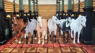 En.. to… tre…. Syv?! | Dansk star stable online