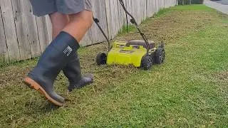 Kikuyu Lawn Scarify and Fertilise