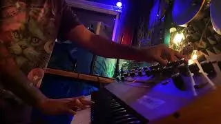Tame Impala - NANGS on the Prophet 5 Rev4!