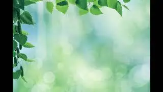 Meditation Station: How to Abide Duality