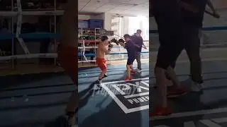 Naoya Inoue INSANE SPEED on Mitts #naoyainoue #inoue #boxingtraining