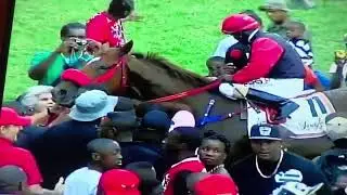 Aristodemus-Anderson Trotman Sandy Lane Gold Cup 2013🏆🇧🇧🇹🇹