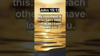 Beautiful Verse of the Day | #bibleverses #dailyverses #shorts #youtubeshorts