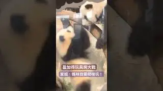 1月10日盈加得玩具房大戰