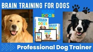 Brain Training For Dogs Review