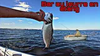 Ont p&ecirc;che le LOUP en DERIVE et &agrave; la TRAINE sur l'&eacute;tang de Thau (S&egrave;te,M&egrave;ze,Marseillan,Bouzigues)
