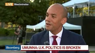 U.K. Politics Is Broken, Says Liberal Democrats&rsquo; Umunna