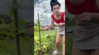 ДЕВУШКА В ДЕРЕВНЕ  #юмор
