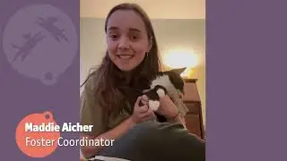 Animal Friends Volunteer Appreciation 2024