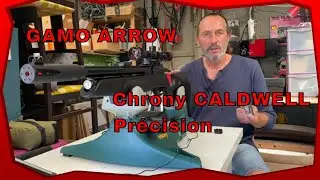 GAMO ARROW  PCP 4.5 :  Impressions / Chrony Caldwell / Précision