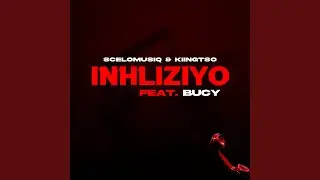 Inhliziyo