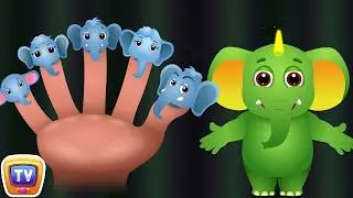 Elephant Finger Family | ChuChu TV Animal Finger Family Songs & Nursery Rhymes For Children