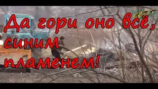 Да гори оно всё, синим пламенем!